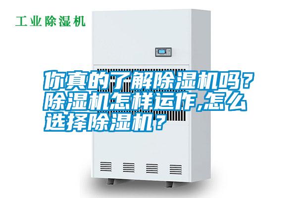 你真的了解除湿机吗？除湿机怎样运作,怎么选择除湿机？