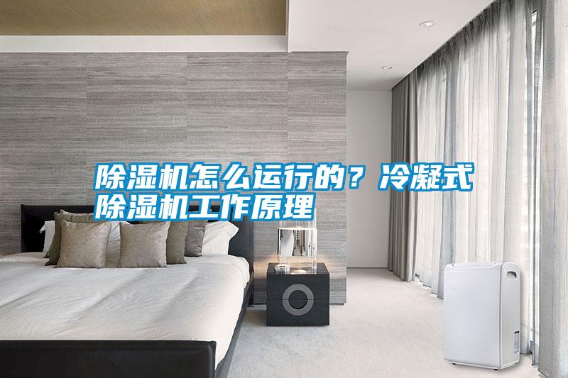 除湿机怎么运行的？冷凝式除湿机工作原理