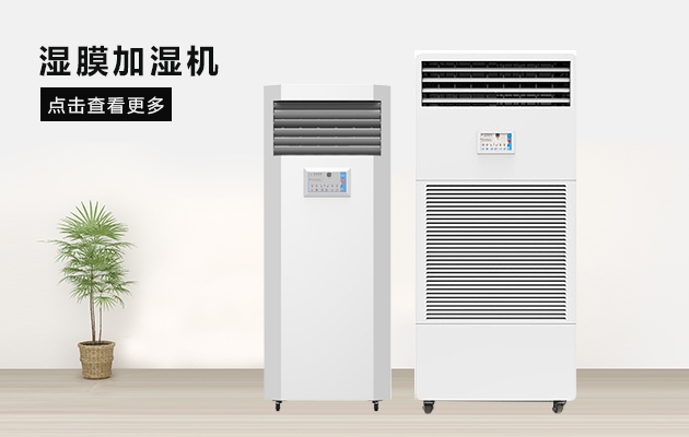 小雪养生要外防湿冷、内防燥热