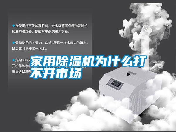 家用除湿机为什么打不开市场