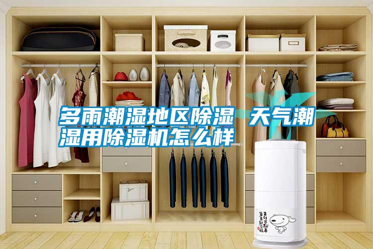 多雨潮湿地区除湿 天气潮湿用除湿机怎么样