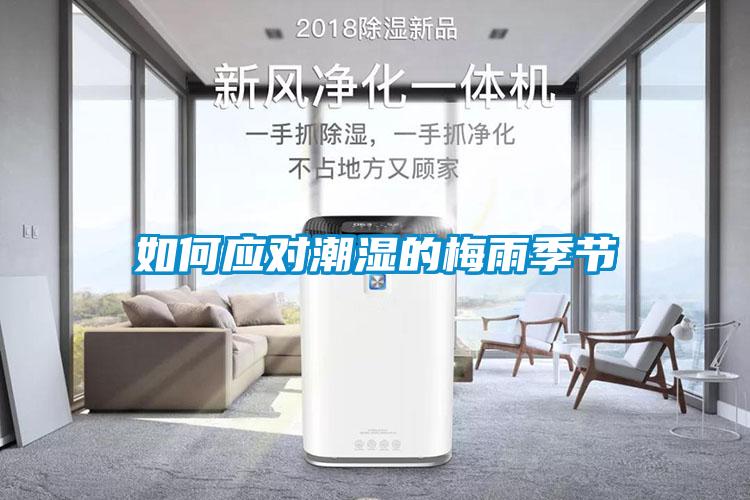 如何应对潮湿的梅雨季节