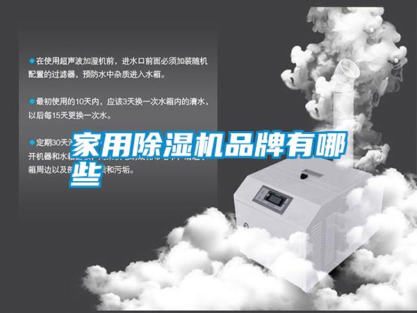 家用除湿机品牌有哪些