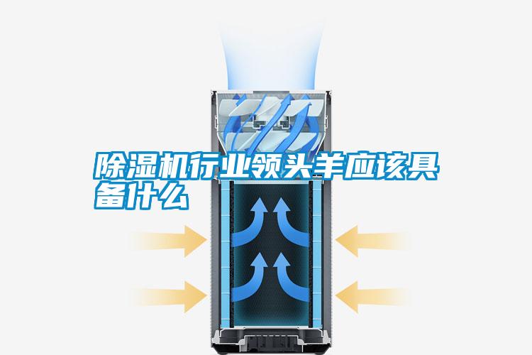 除湿机行业领头羊应该具备什么