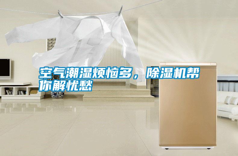 空气潮湿烦恼多，除湿机帮你解忧愁