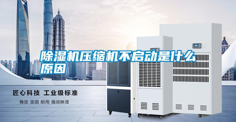 除湿机压缩机不启动是什么原因