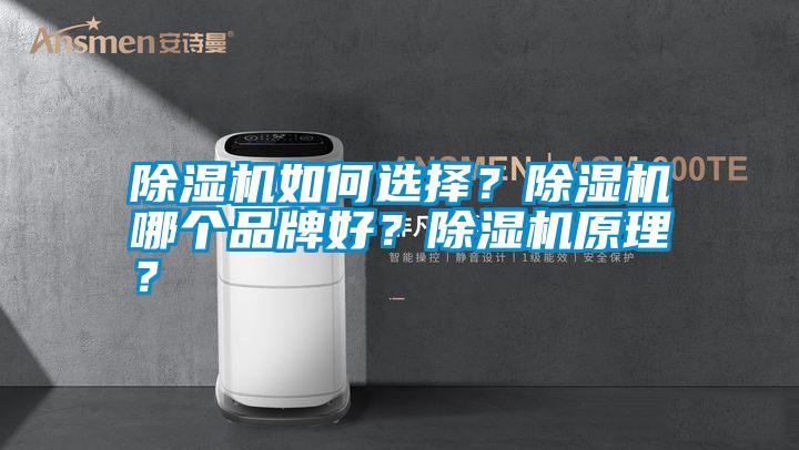 除湿机如何选择？除湿机哪个品牌好？除湿机原理？