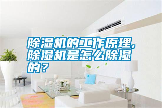 除湿机的工作原理,除湿机是怎么除湿的？