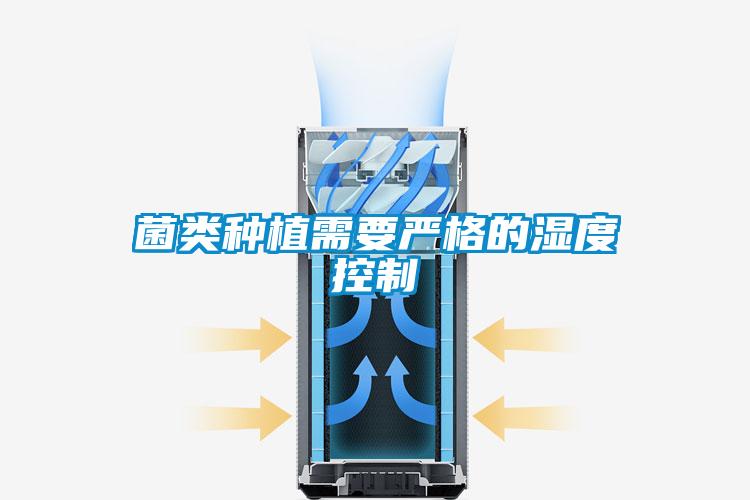 菌类种植需要严格的湿度控制