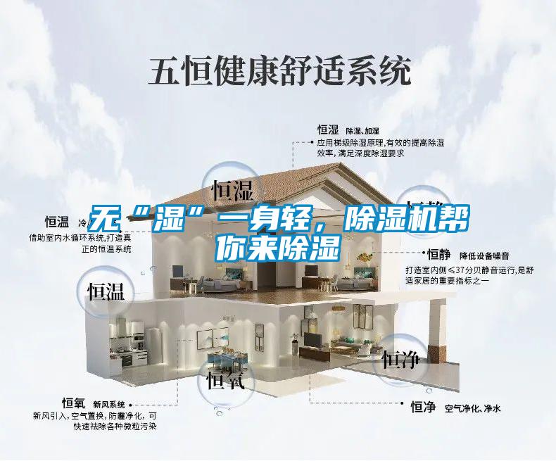 无“湿”一身轻，除湿机帮你来除湿