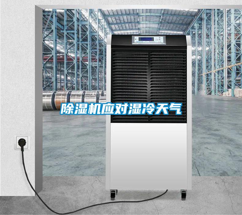 除湿机应对湿冷天气