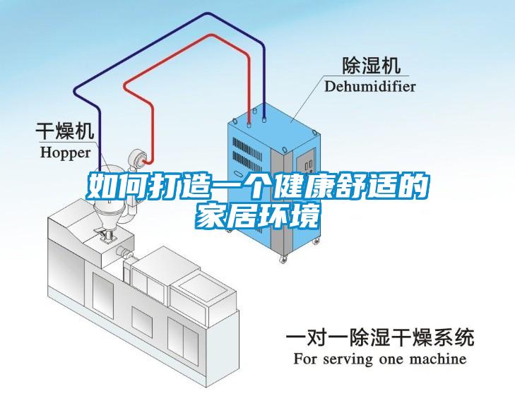 如何打造一个健康舒适的家居环境