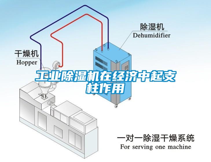 工业除湿机在经济中起支柱作用