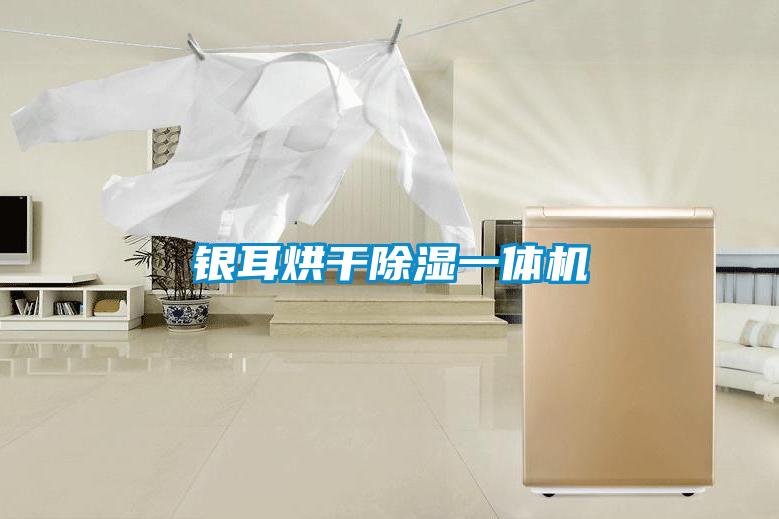 银耳烘干除湿一体机