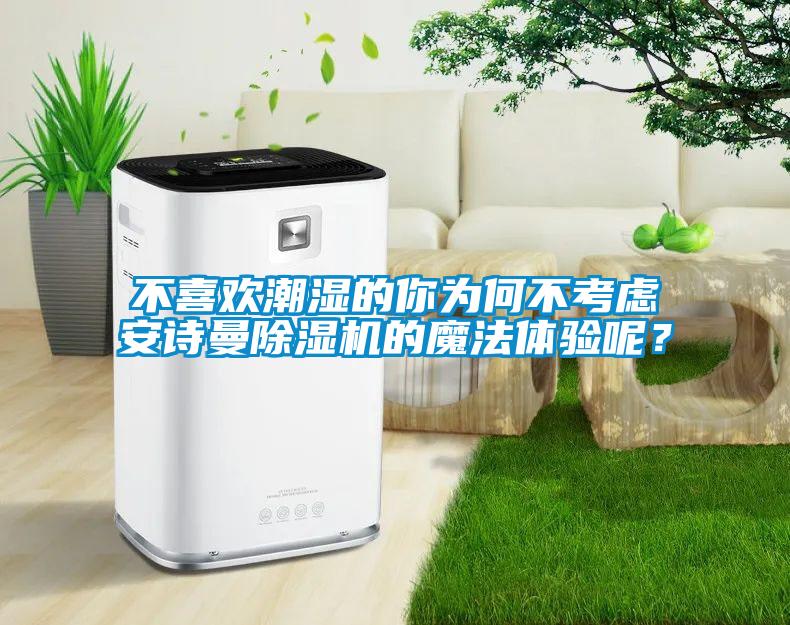 不喜欢潮湿的你为何不考虑安诗曼除湿机的魔法体验呢？