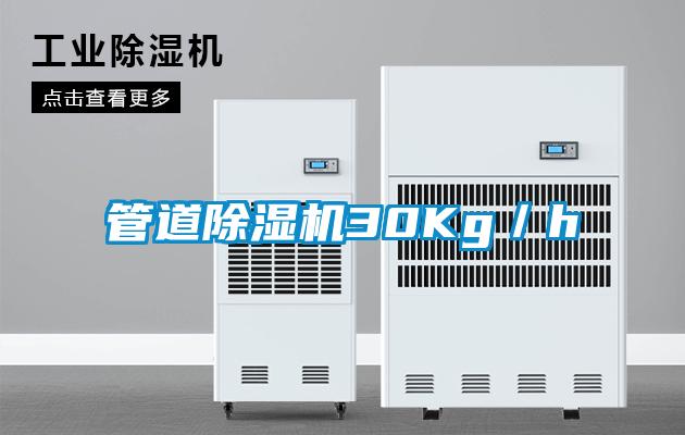 管道除湿机30Kg／h