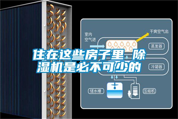 住在这些房子里 除湿机是必不可少的