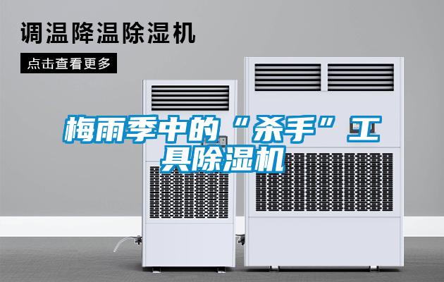 梅雨季中的“杀手”工具除湿机