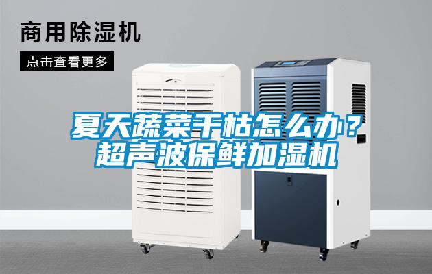 夏天蔬菜干枯怎么办？超声波保鲜加湿机