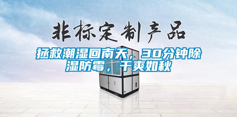 拯救潮湿回南天，30分钟除湿防霉，干爽如秋