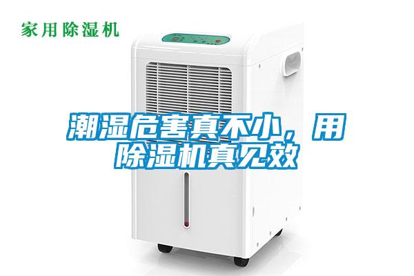 潮湿危害真不小，用除湿机真见效
