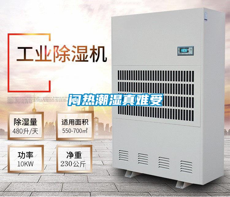 闷热潮湿真难受