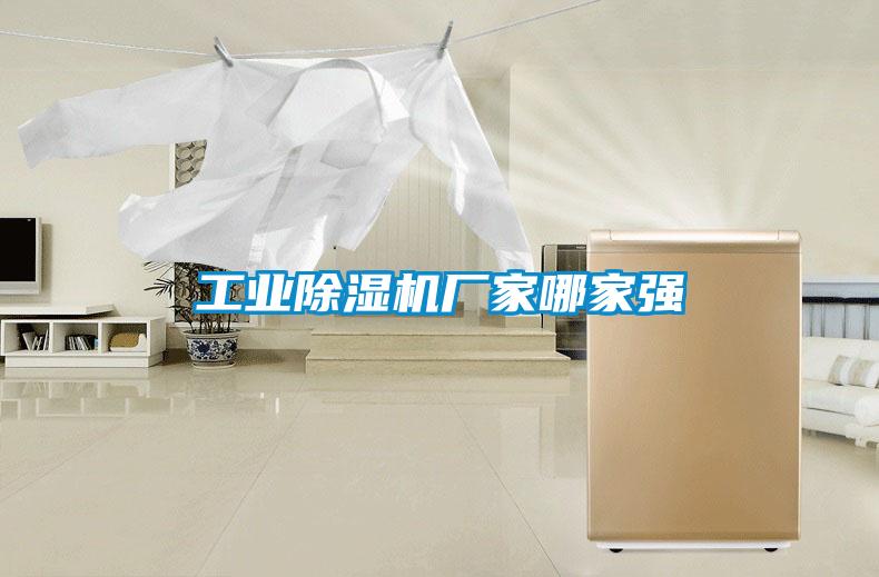 工业除湿机厂家哪家强