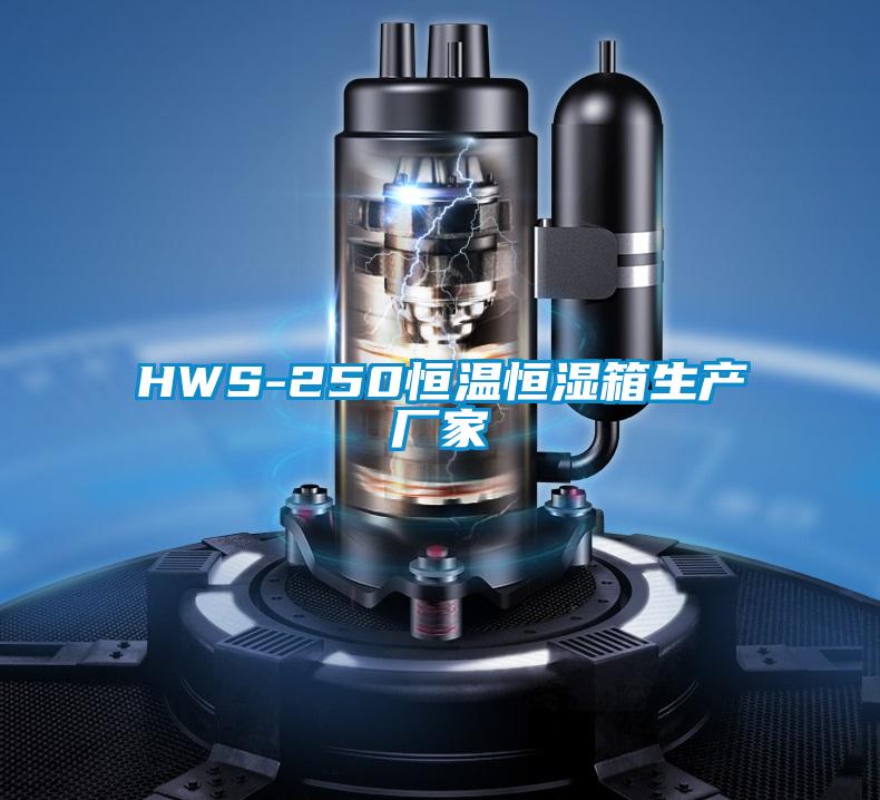 HWS-250恒温恒湿箱生产厂家