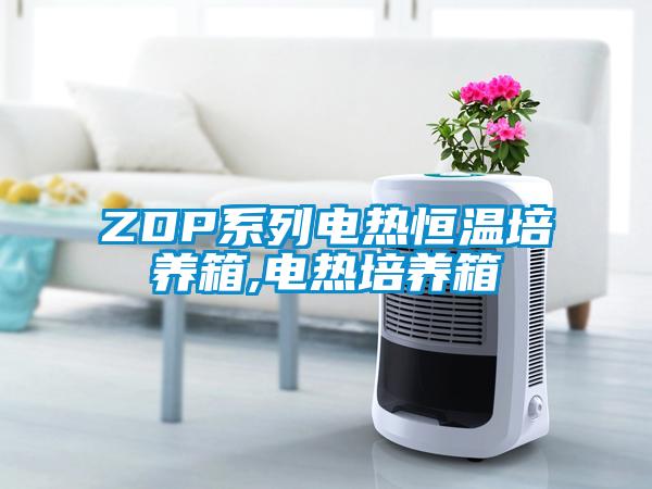 ZDP系列电热恒温培养箱,电热培养箱