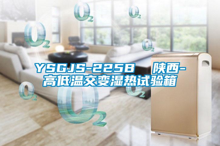 YSGJS-225B  陕西-高低温交变湿热试验箱