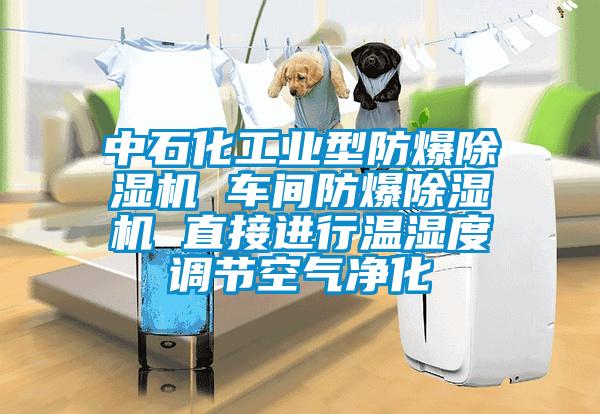 中石化工业型防爆除湿机 车间防爆除湿机 直接进行温湿度调节空气净化