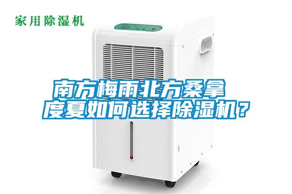 南方梅雨北方桑拿 度夏如何选择除湿机？