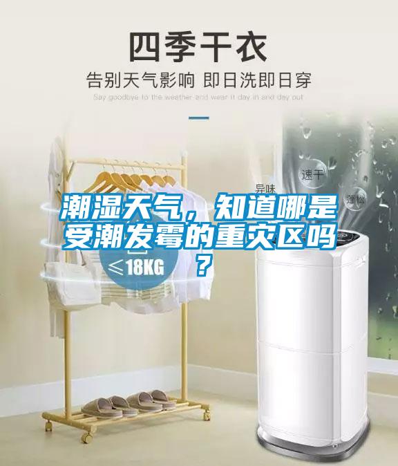 潮湿天气，知道哪是受潮发霉的重灾区吗？