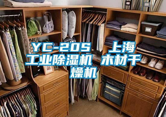 YC-20S  上海工业除湿机 木材干燥机