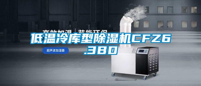 低温冷库型除湿机CFZ6.3BD