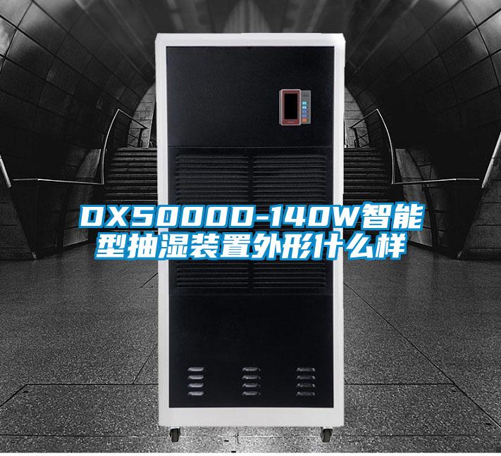 DX5000D-140W智能型抽湿装置外形什么样