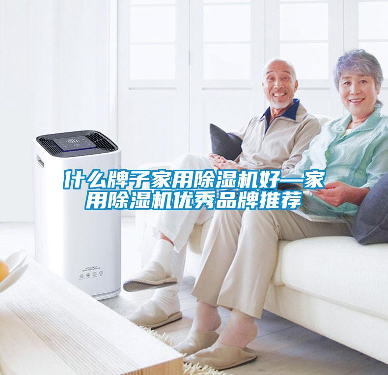 什么牌子家用除湿机好—家用除湿机优秀品牌推荐