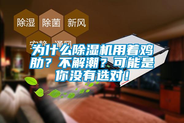 为什么除湿机用着鸡肋？不解潮？可能是你没有选对！