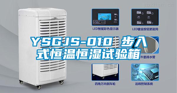 YSGJS-010 步入式恒温恒湿试验箱