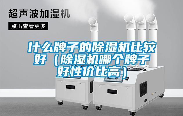 什么牌子的除湿机比较好（除湿机哪个牌子好性价比高）
