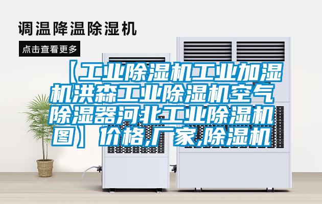 【工业除湿机工业加湿机洪森工业除湿机空气除湿器河北工业除湿机图】价格,厂家,除湿机
