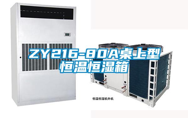 ZY216-80A桌上型恒温恒湿箱