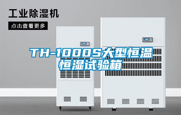 TH-1000S大型恒温恒湿试验箱