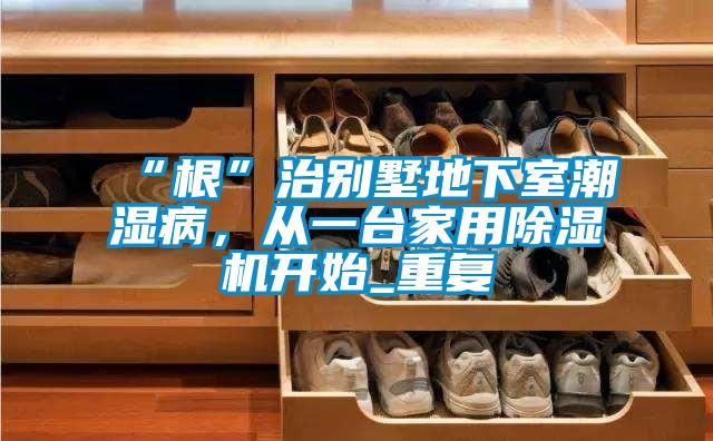 “根”治别墅地下室潮湿病，从一台家用除湿机开始_重复