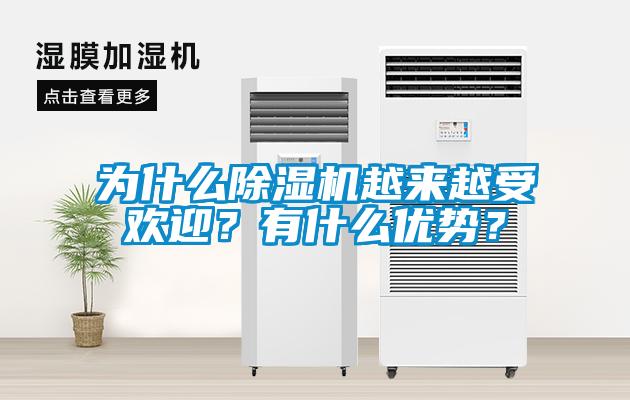 为什么除湿机越来越受欢迎？有什么优势？