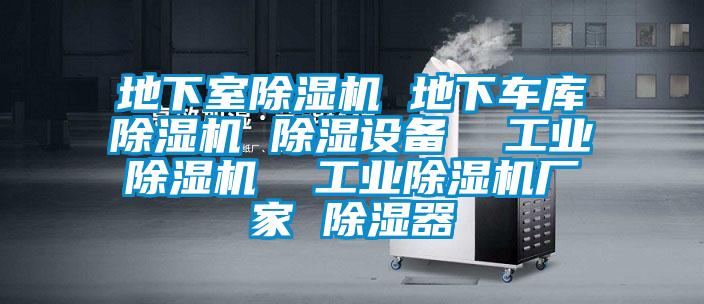 地下室除湿机 地下车库除湿机 除湿设备  工业除湿机  工业除湿机厂家 除湿器