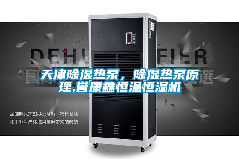 天津除湿热泵,除湿热泵原理,誉康鑫恒温恒湿机