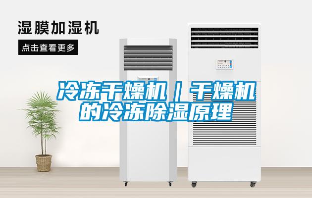 冷冻干燥机｜干燥机的冷冻除湿原理