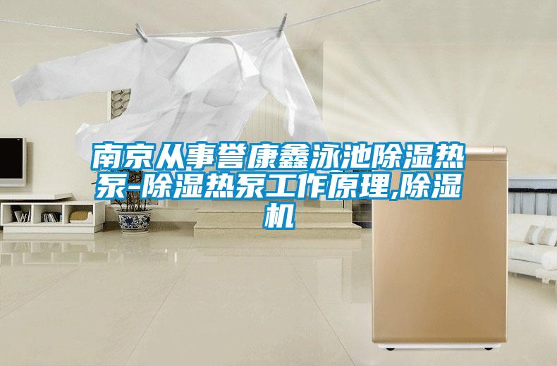 南京从事誉康鑫泳池除湿热泵-除湿热泵工作原理,除湿机