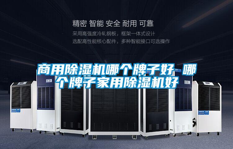 商用除湿机哪个牌子好 哪个牌子家用除湿机好